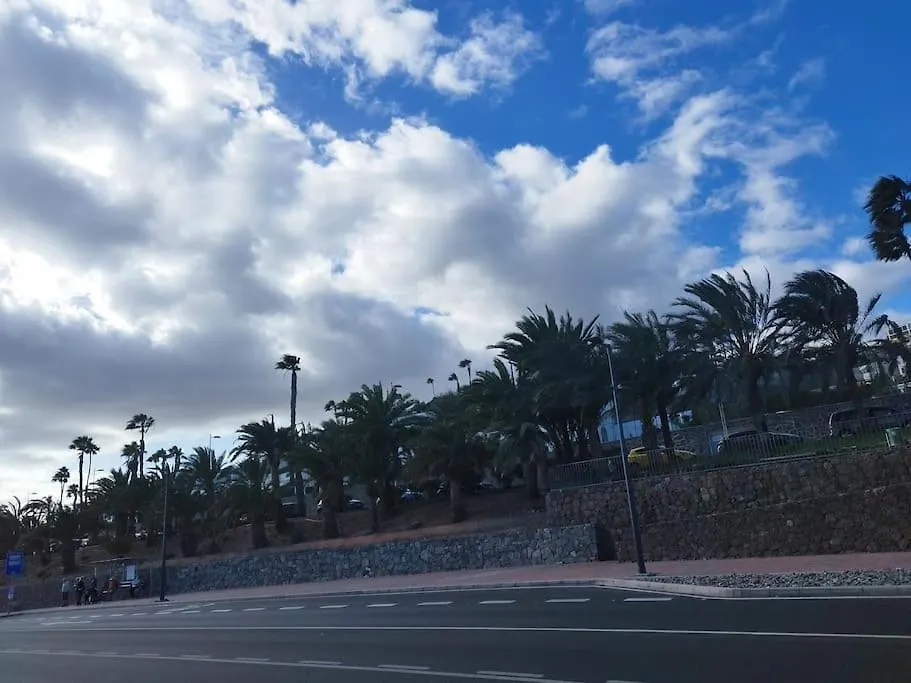 Apartamento Flamboyan Vista Mar Maspalomas  0*, Maspalomas (Gran Canaria) España